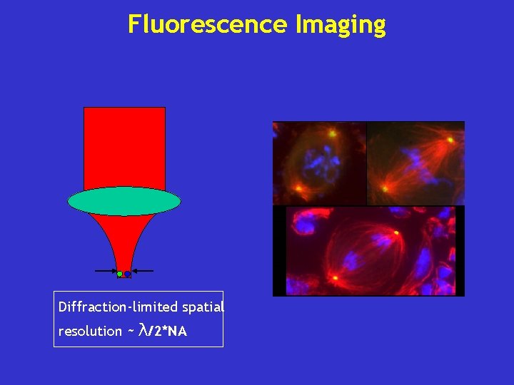 Fluorescence Imaging Diffraction-limited spatial resolution ~ λ/2*NA 