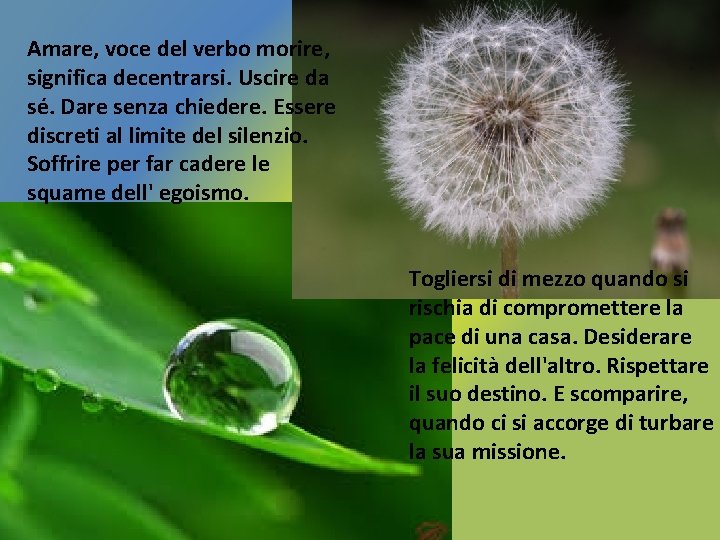 Amare, voce del verbo morire, significa decentrarsi. Uscire da sé. Dare senza chiedere. Essere