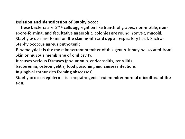 Isolation and identification of Staphylococci These bacteria are G+ve, cells aggregation like bunch of