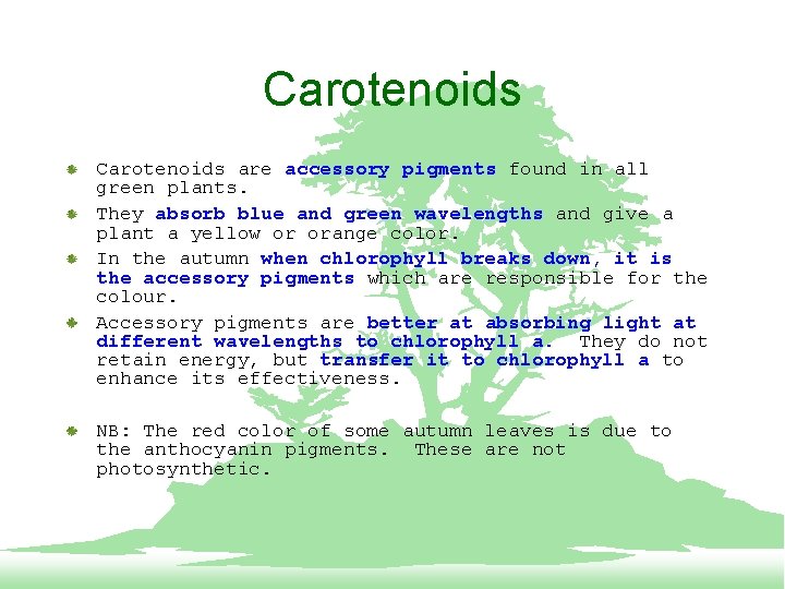 Carotenoids are accessory pigments found in all green plants. They absorb blue and green