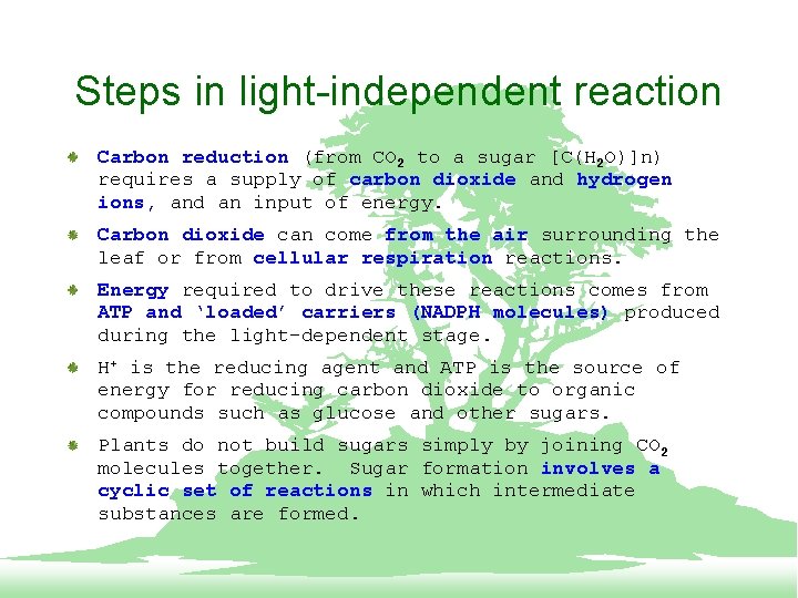 Steps in light-independent reaction Carbon reduction (from CO 2 to a sugar [C(H 2