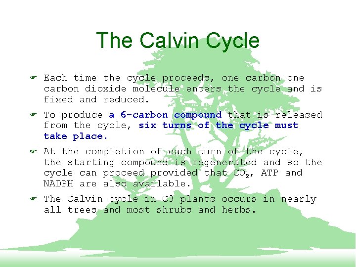 The Calvin Cycle F Each time the cycle proceeds, one carbon dioxide molecule enters