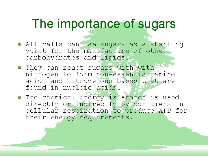 The importance of sugars All cells can use sugars as a starting point for