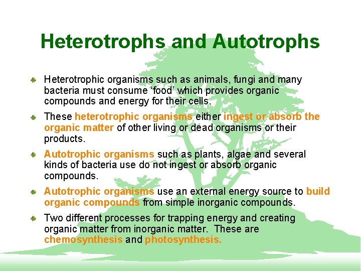Heterotrophs and Autotrophs Heterotrophic organisms such as animals, fungi and many bacteria must consume