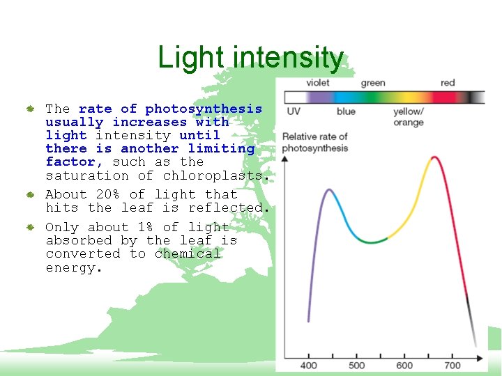 Light intensity The rate of photosynthesis usually increases with light intensity until there is