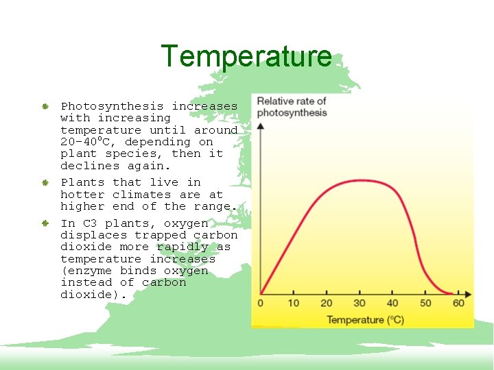 Temperature Photosynthesis increases with increasing temperature until around 20 -40 o. C, depending on