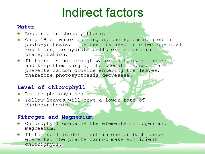 Indirect factors Water Required in photosynthesis Only 1% of water passing up the xylem