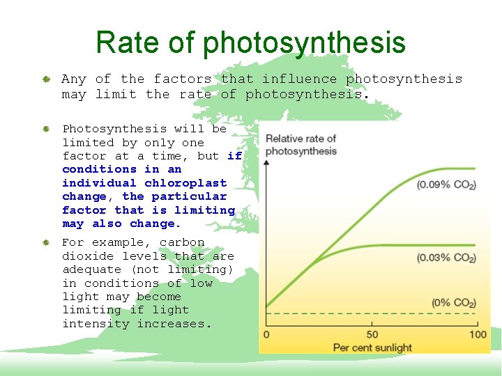Rate of photosynthesis Any of the factors that influence photosynthesis may limit the rate
