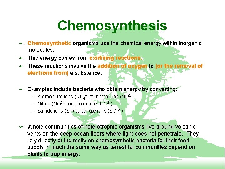 Chemosynthesis F F Chemosynthetic organisms use the chemical energy within inorganic molecules. This energy