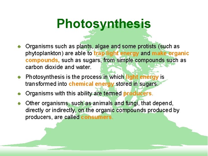 Photosynthesis Organisms such as plants, algae and some protists (such as phytoplankton) are able