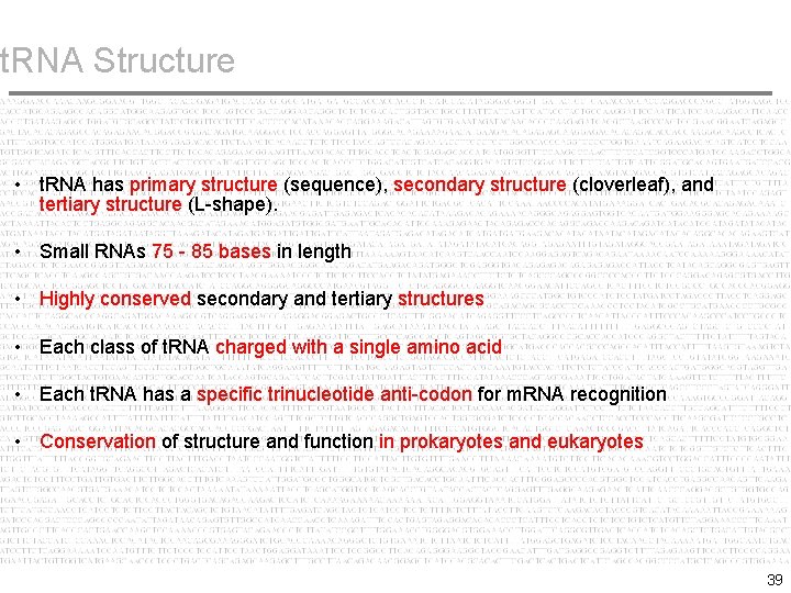 t. RNA Structure • t. RNA has primary structure (sequence), secondary structure (cloverleaf), and