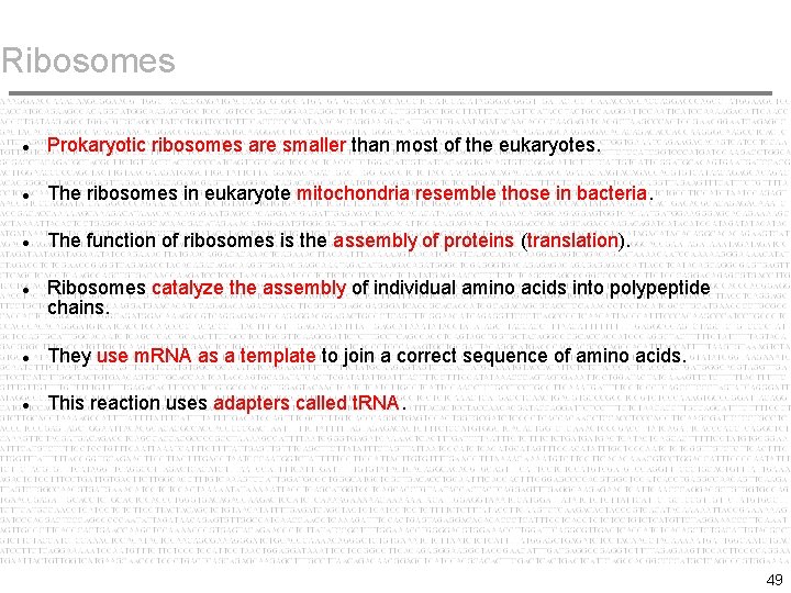 Ribosomes Prokaryotic ribosomes are smaller than most of the eukaryotes. The ribosomes in eukaryote