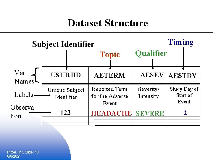 Dataset Structure Timing Subject Identifier Topic Var Names USUBJID AETERM Labels Unique Subject Identifier