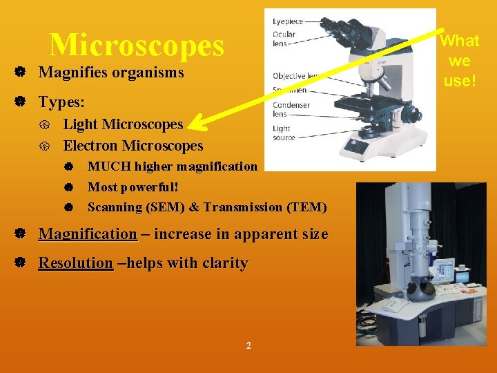 Microscopes What we use! Magnifies organisms Types: Light Microscopes Electron Microscopes MUCH higher magnification