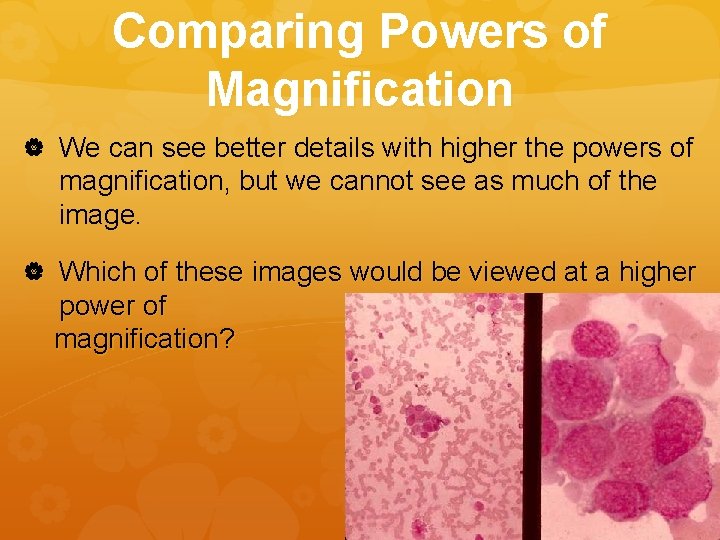 Comparing Powers of Magnification We can see better details with higher the powers of