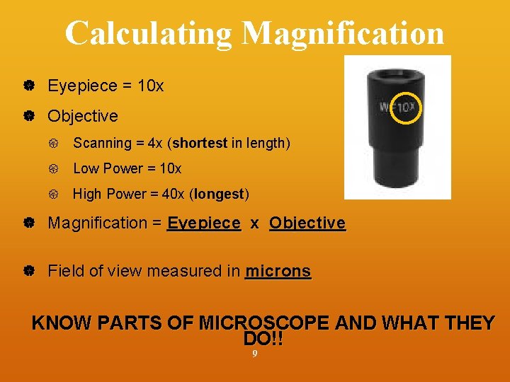 Calculating Magnification Eyepiece = 10 x Objective Scanning = 4 x (shortest in length)