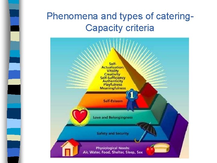 Phenomena and types of catering. Capacity criteria 