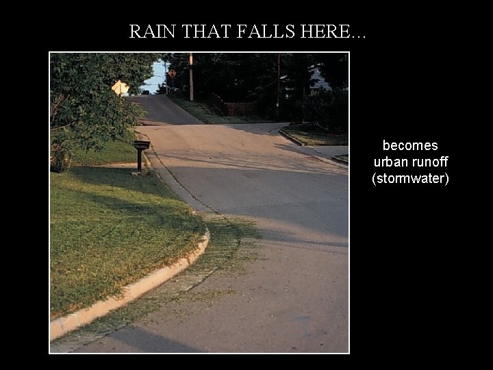 RAIN THAT FALLS HERE… becomes urban runoff (stormwater) Surface Runoff 