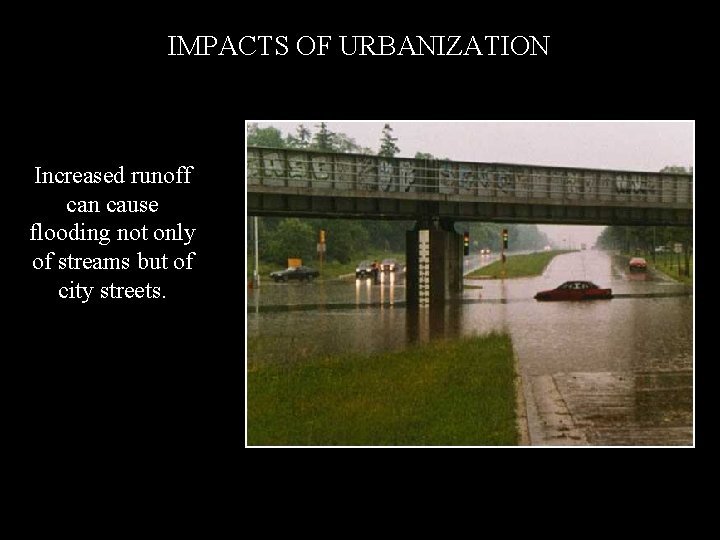 IMPACTS OF URBANIZATION Increased runoff can cause flooding not only of streams but of