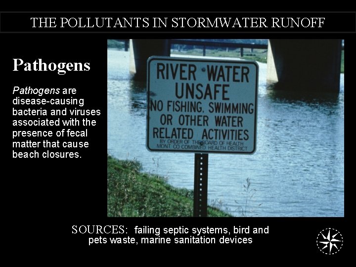 THE POLLUTANTS IN STORMWATER RUNOFF Pathogens are disease-causing bacteria and viruses associated with the