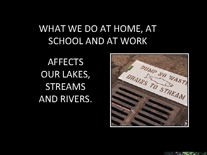WHAT WE DO AT HOME, AT SCHOOL AND AT WORK AFFECTS OUR LAKES, STREAMS