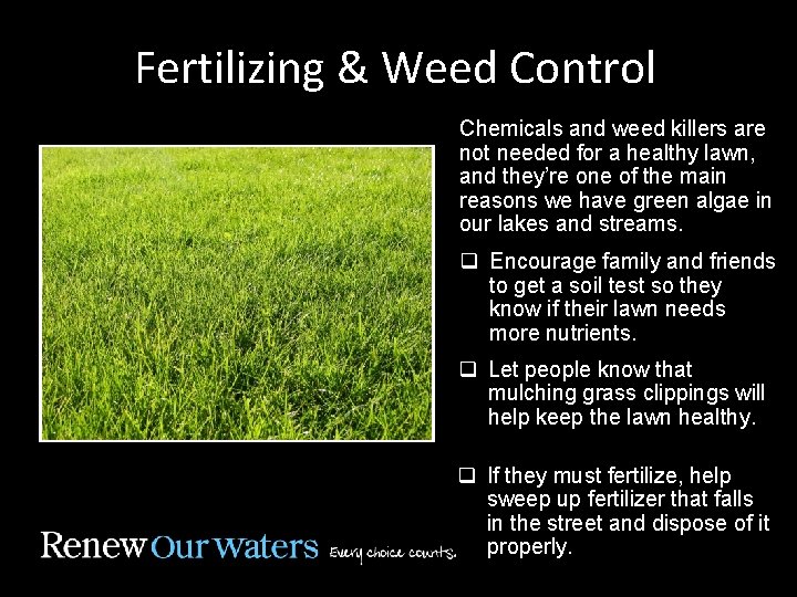 Fertilizing & Weed Control Chemicals and weed killers are not needed for a healthy