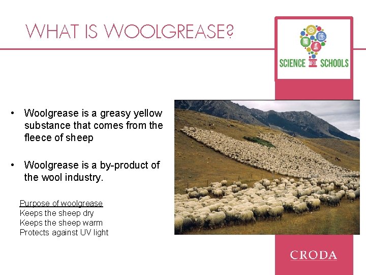 WHAT IS WOOLGREASE? • Woolgrease is a greasy yellow substance that comes from the