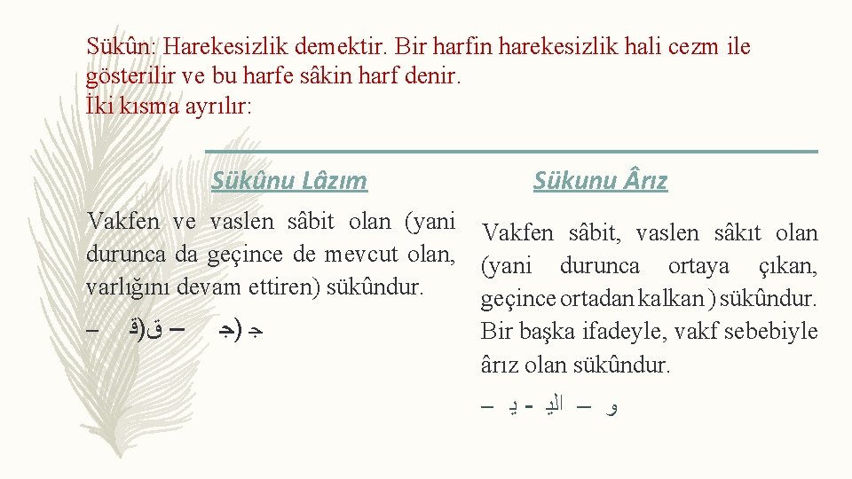 Sükûn: Harekesizlik demektir. Bir harfin harekesizlik hali cezm ile gösterilir ve bu harfe sâkin