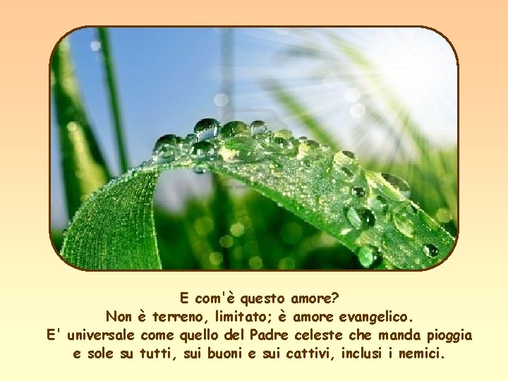 E com'è questo amore? Non è terreno, limitato; è amore evangelico. E' universale come