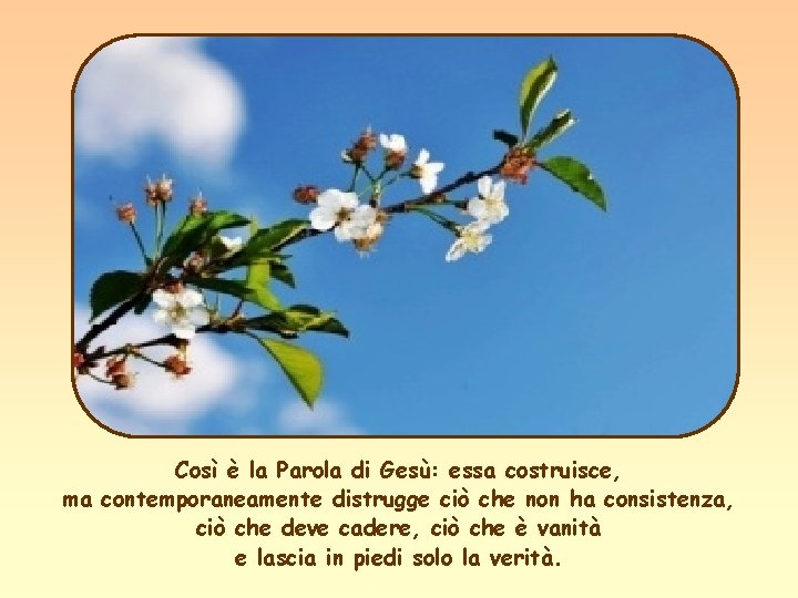 Così è la Parola di Gesù: essa costruisce, ma contemporaneamente distrugge ciò che non