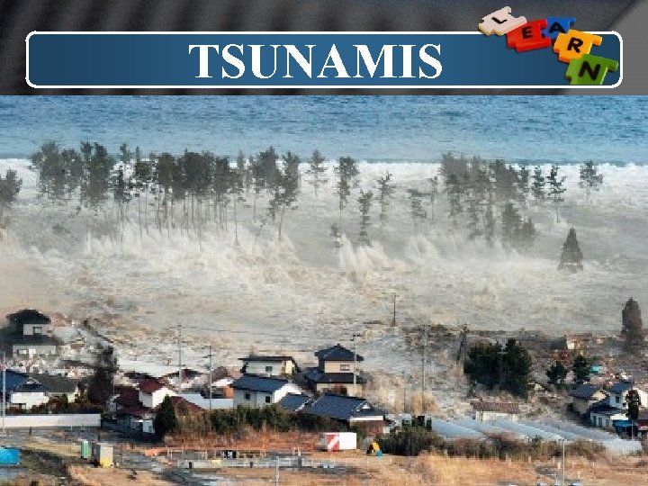 TSUNAMIS LOGO 