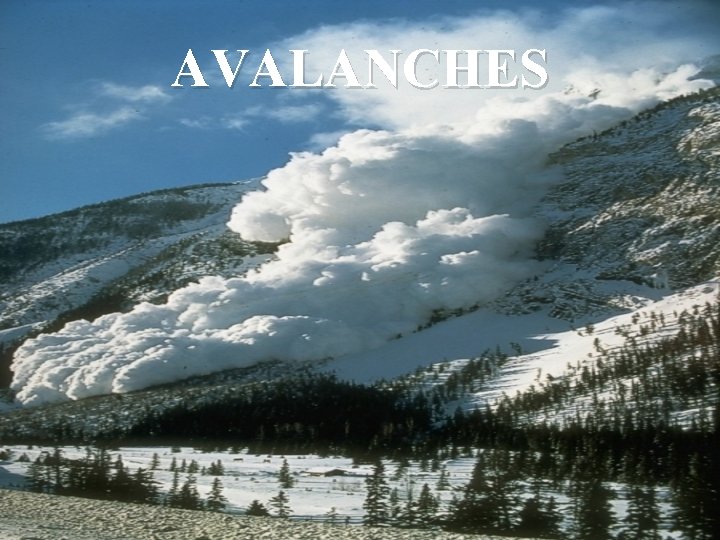 AVALANCHES 