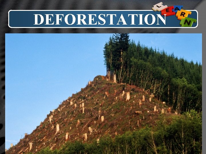 DEFORESTATION LOGO 