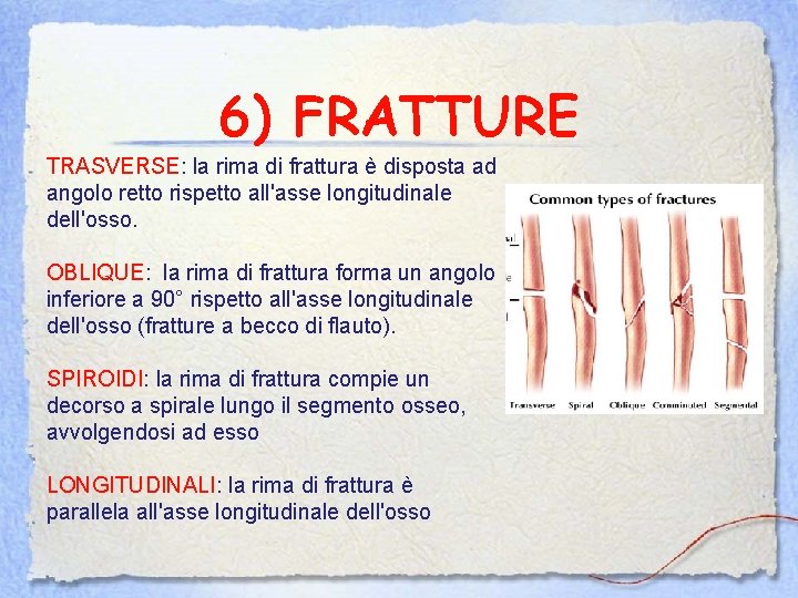 6) FRATTURE TRASVERSE: la rima di frattura è disposta ad angolo retto rispetto all'asse