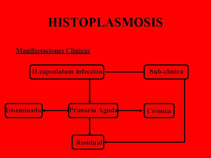 HISTOPLASMOSIS Manifestaciones Clínicas H. capsulatum infección Diseminada Primaria Aguda Residual Sub-clínica Crónica 