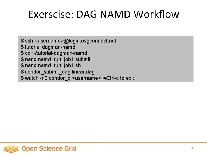 Exerscise: DAG NAMD Workflow $ ssh <username>@login. osgconnect. net $ tutorial dagman-namd $ cd