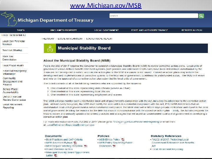 www. Michigan. gov/MSB State of Michigan Department of Treasury 49 