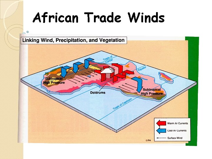 African Trade Winds 