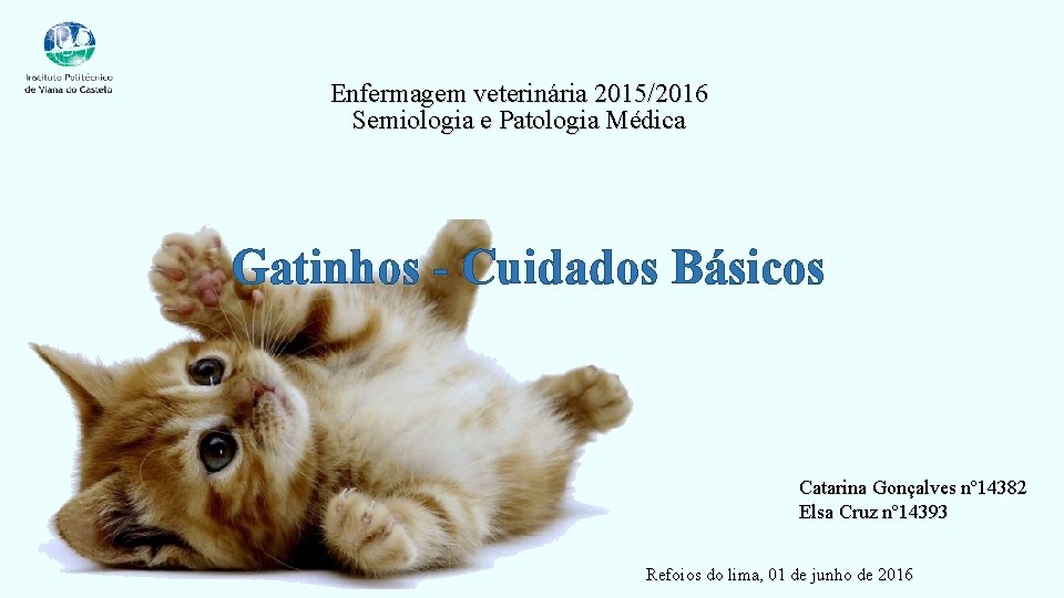 Enfermagem veterinária 2015/2016 Semiologia e Patologia Médica Gatinhos - Cuidados Básicos Catarina Gonçalves nº