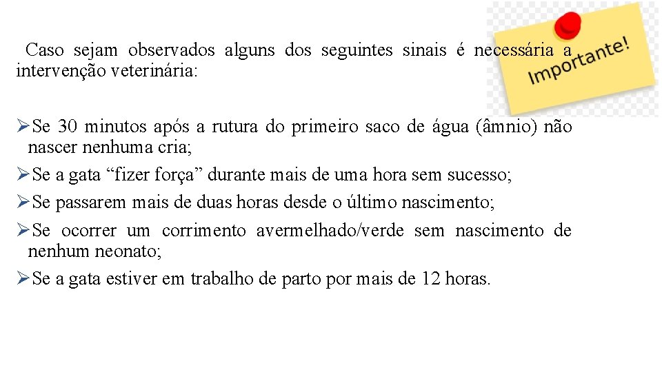 Caso sejam observados alguns dos seguintes sinais é necessária a intervenção veterinária: ØSe 30