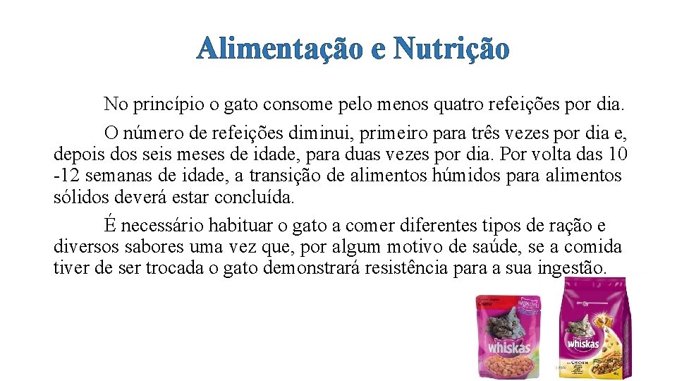 Alimentação e Nutrição No princípio o gato consome pelo menos quatro refeições por dia.