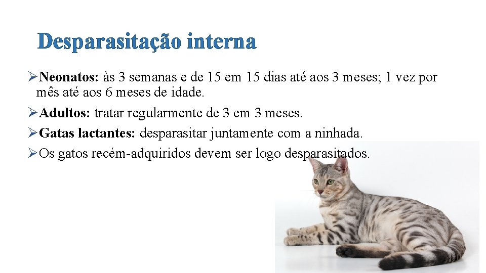 Desparasitação interna ØNeonatos: às 3 semanas e de 15 em 15 dias até aos