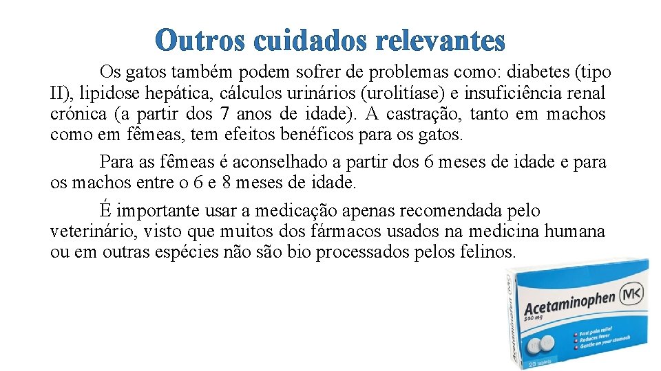 Outros cuidados relevantes Os gatos também podem sofrer de problemas como: diabetes (tipo II),