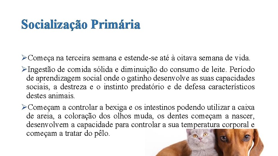 Socialização Primária ØComeça na terceira semana e estende-se até à oitava semana de vida.