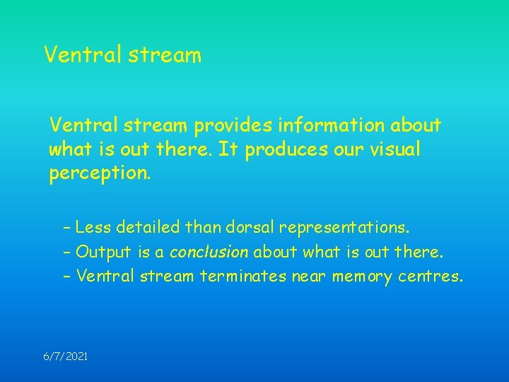 Ventral stream provides information about what is out there. It produces our visual perception.