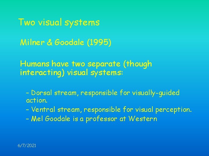 Two visual systems Milner & Goodale (1995) Humans have two separate (though interacting) visual