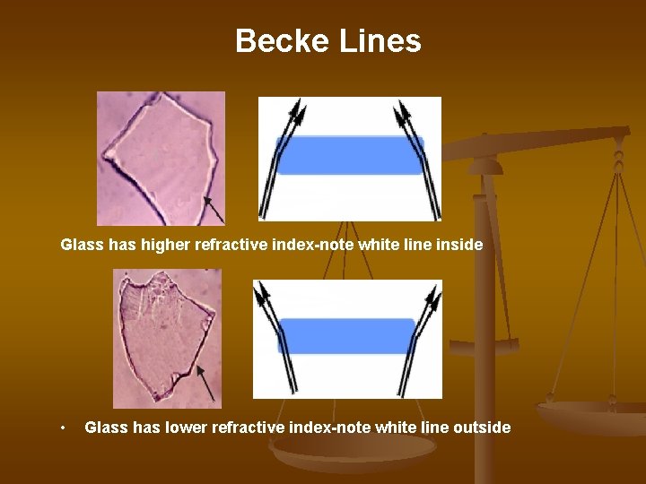 Becke Lines Glass has higher refractive index-note white line inside • Glass has lower