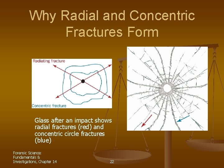 Why Radial and Concentric Fractures Form Glass after an impact shows radial fractures (red)