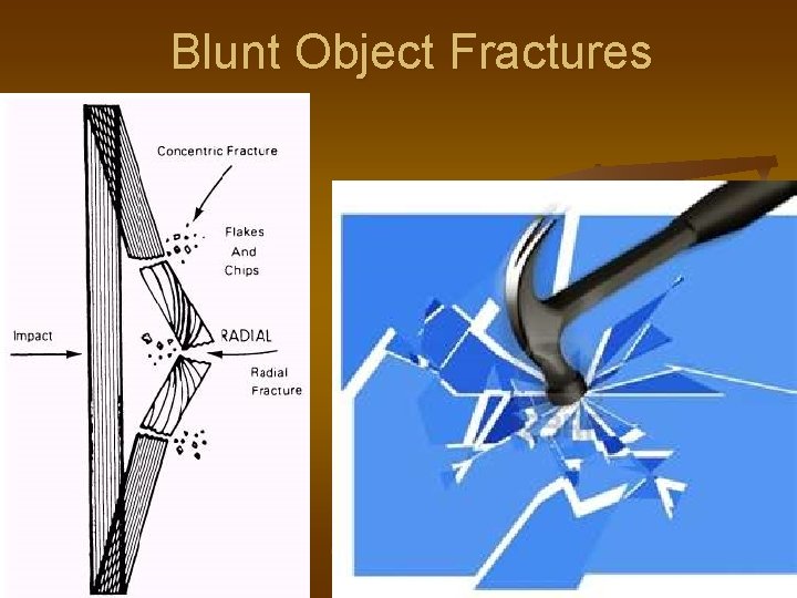 Blunt Object Fractures 