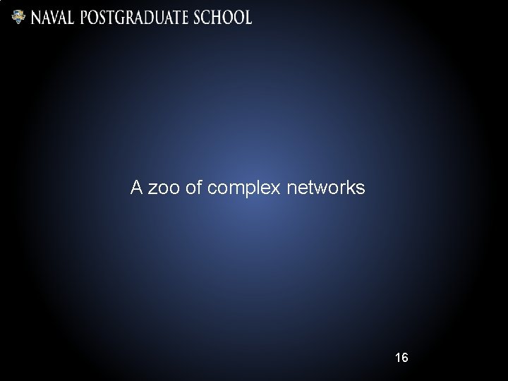 A zoo of complex networks 16 